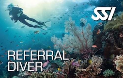 SSI Referral Diver