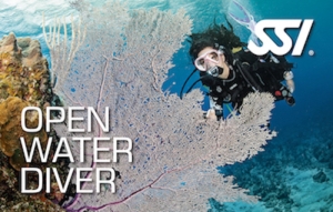 SSI Openwater diver